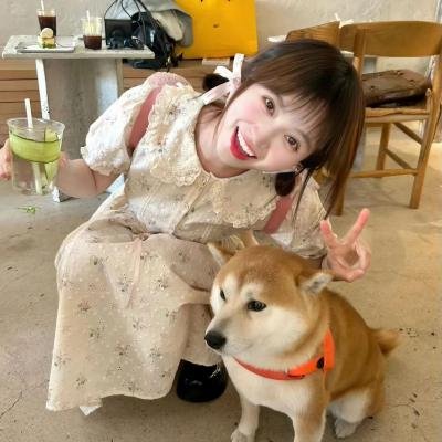 中央公园第二季